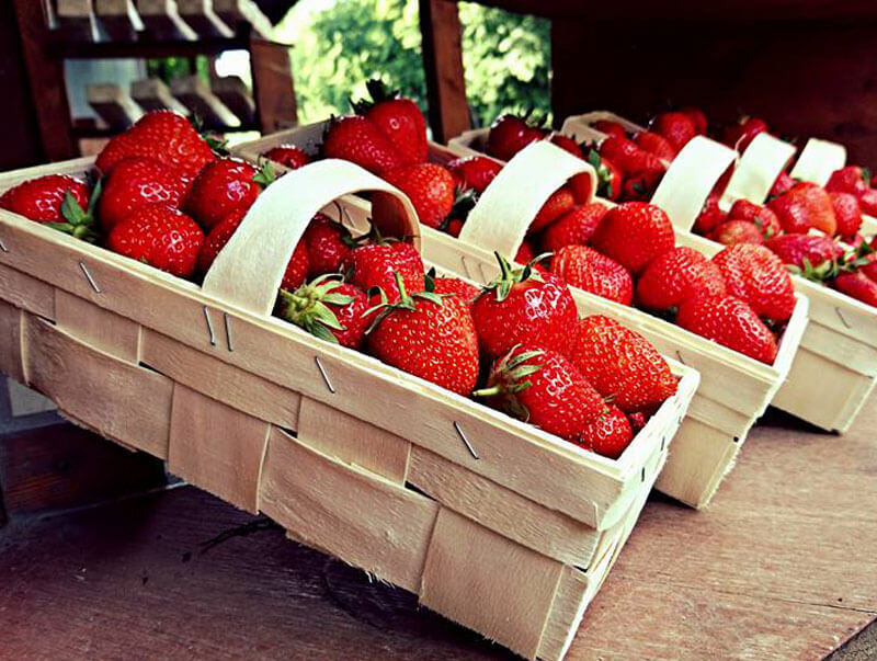 Über uns - Erdbeeren mobile